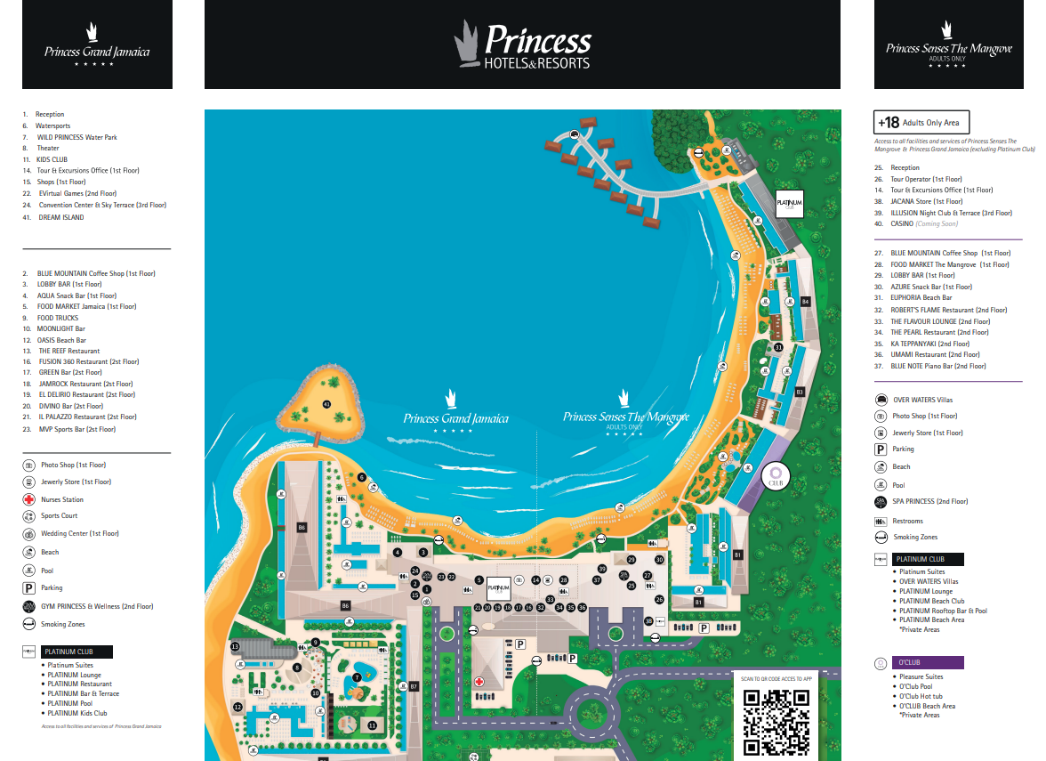pdf image
